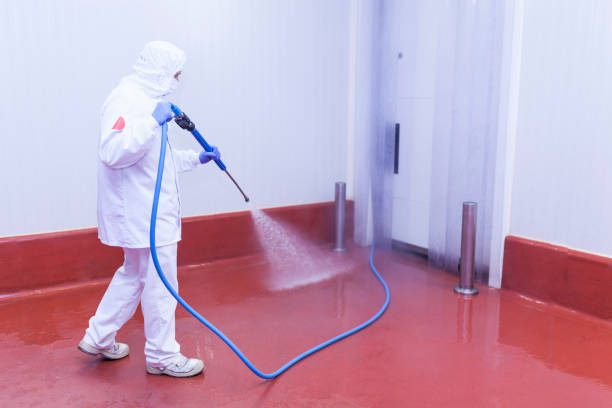  North Branch, MN Pressure Washing Pros